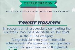 Gold Elegant Seminar Certificate Portrait - 10065 -TAUSIF HOSSAIN