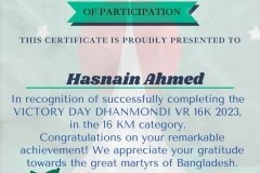 Gold Elegant Seminar Certificate Portrait - 10090 -Hasnain Ahmed