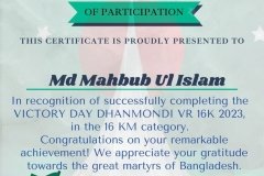 Gold Elegant Seminar Certificate Portrait - 10102 -Md Mahbub Ul Islam