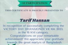 Gold Elegant Seminar Certificate Portrait - 10133 -Tarif Hassan