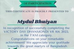 Gold Elegant Seminar Certificate Portrait - 10060-Mydul Bhuiyan