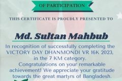 Gold Elegant Seminar Certificate Portrait - 10278-Md. Sultan Mahbub