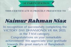 Gold Elegant Seminar Certificate Portrait - 10300-Naimur Rahman Niaz